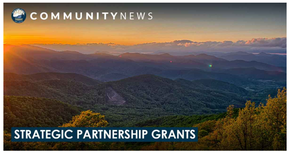 Strategic Partnership Grants